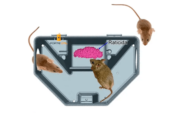 Imagem sobre o funcionamento de uma isca para ratos