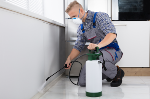 como empresas garantem ambientes limpos e seguros<