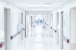 Guia completo sobre dedetização no Tamanduateí SP