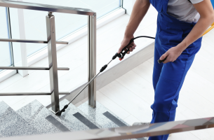 Controle de pragas em comércios: como funciona na prática