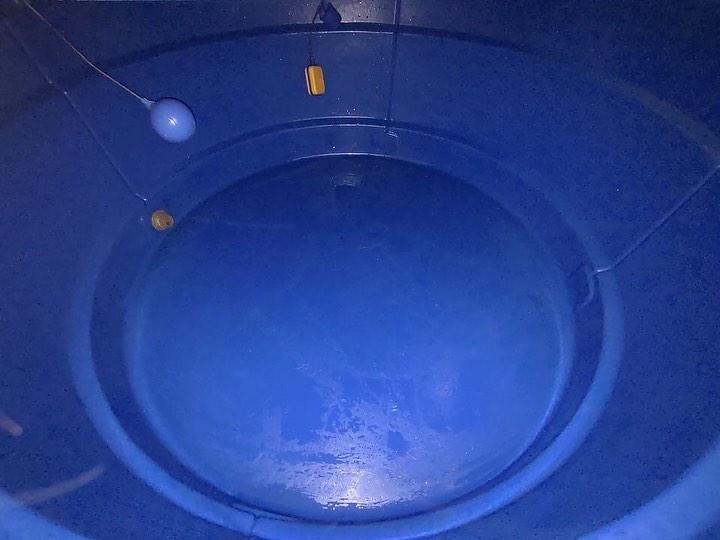 Limpeza de Caixa d