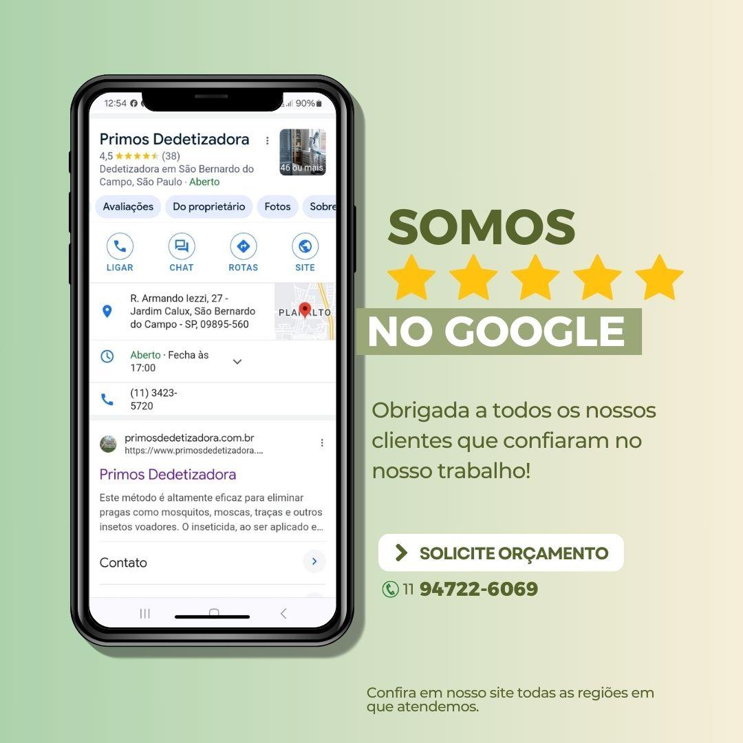 Dedetização Profissional para Prédios Comerciais