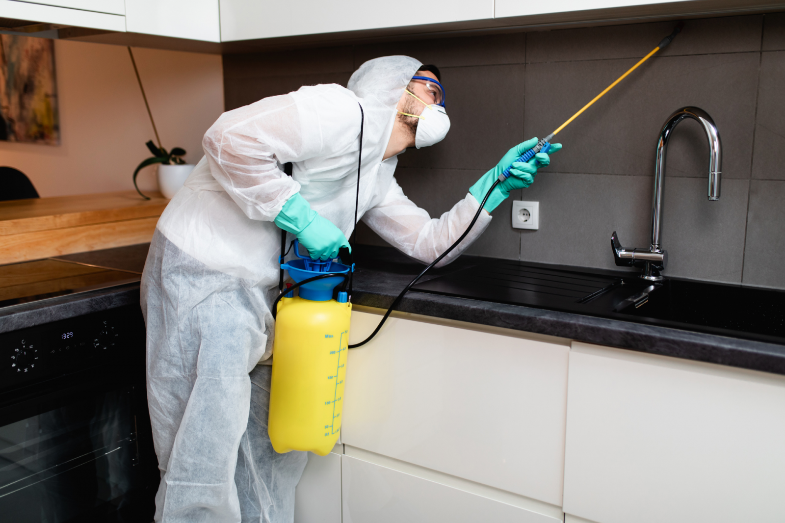 >Dedetização de baratas: como eliminar infestações e evitar o retorno? >Dedetização de baratas: como eliminar infestações e evitar o retorno?