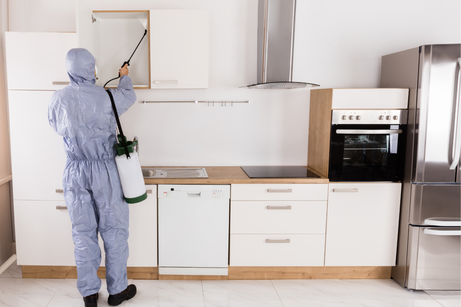 Dedetização residencial: como proteger sua casa de infestações | Primos Dedetizadora Dedetização residencial: como proteger sua casa de infestações | Primos Dedetizadora