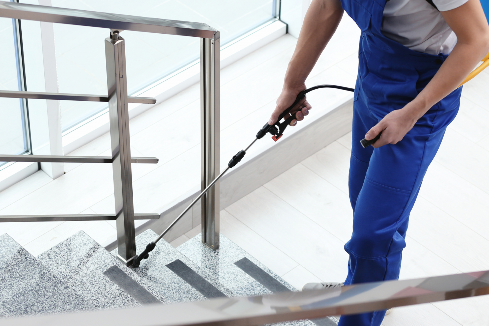 Dedetização residencial: guia completo para eliminar pragas com segurança