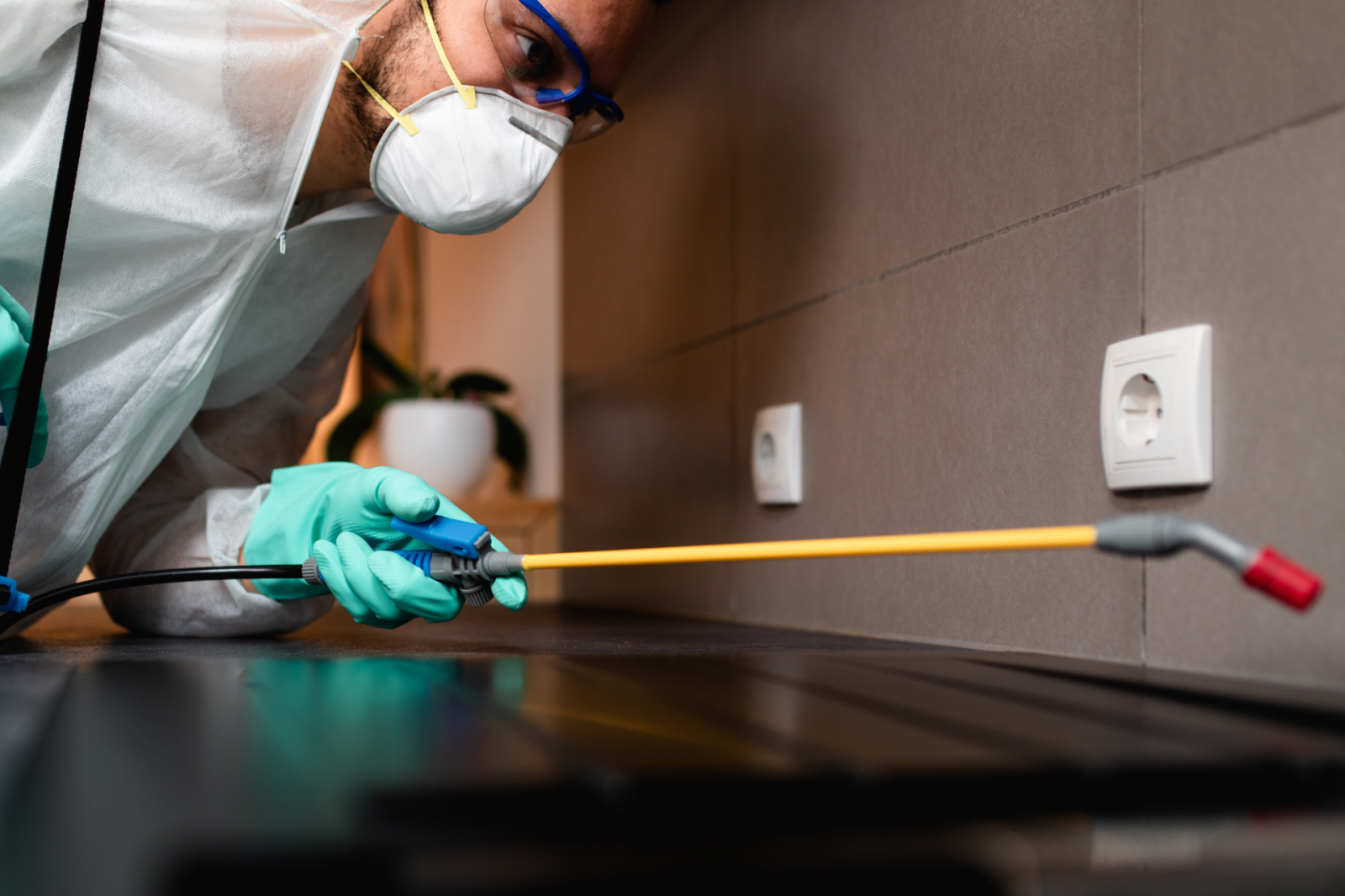 Controle de pragas: guia prático para eliminar infestações de forma segura Controle de pragas: guia prático para eliminar infestações de forma segura