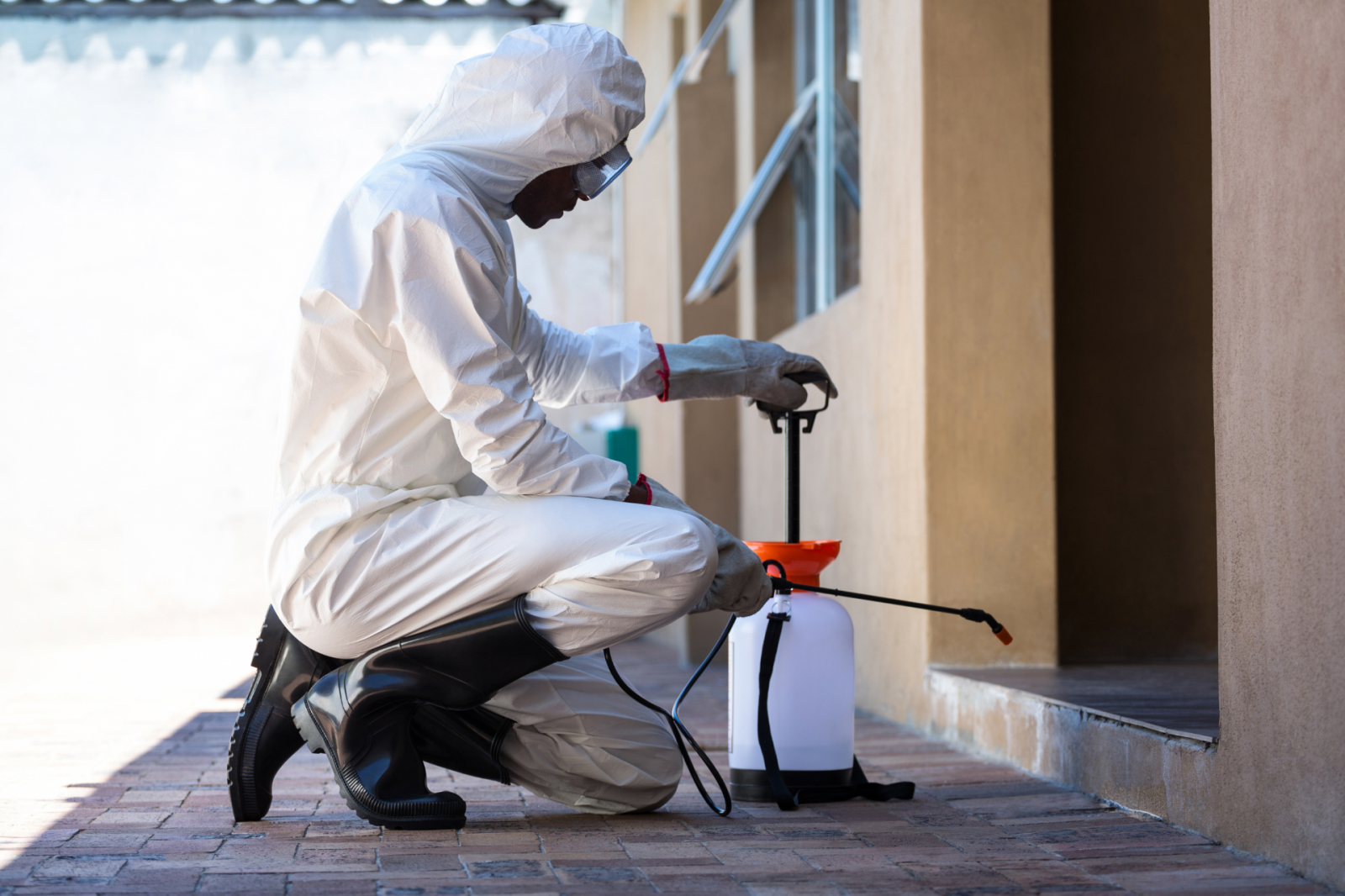 "Como identificar infestação e quando buscar dedetização profissional "Como identificar infestação e quando buscar dedetização profissional