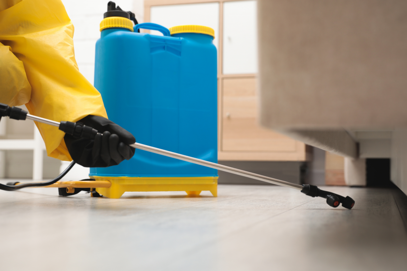 Como preparar sua casa ou empresa antes da dedetização: guia prático Como preparar sua casa ou empresa antes da dedetização: guia prático