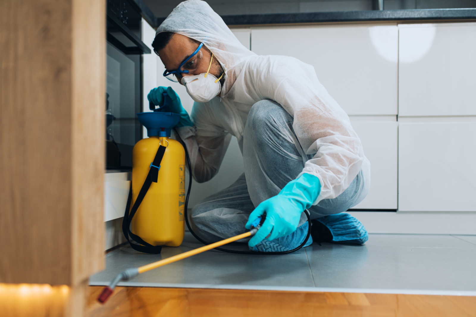 Como preparar sua casa ou empresa antes da dedetização: guia prático Como preparar sua casa ou empresa antes da dedetização: guia prático