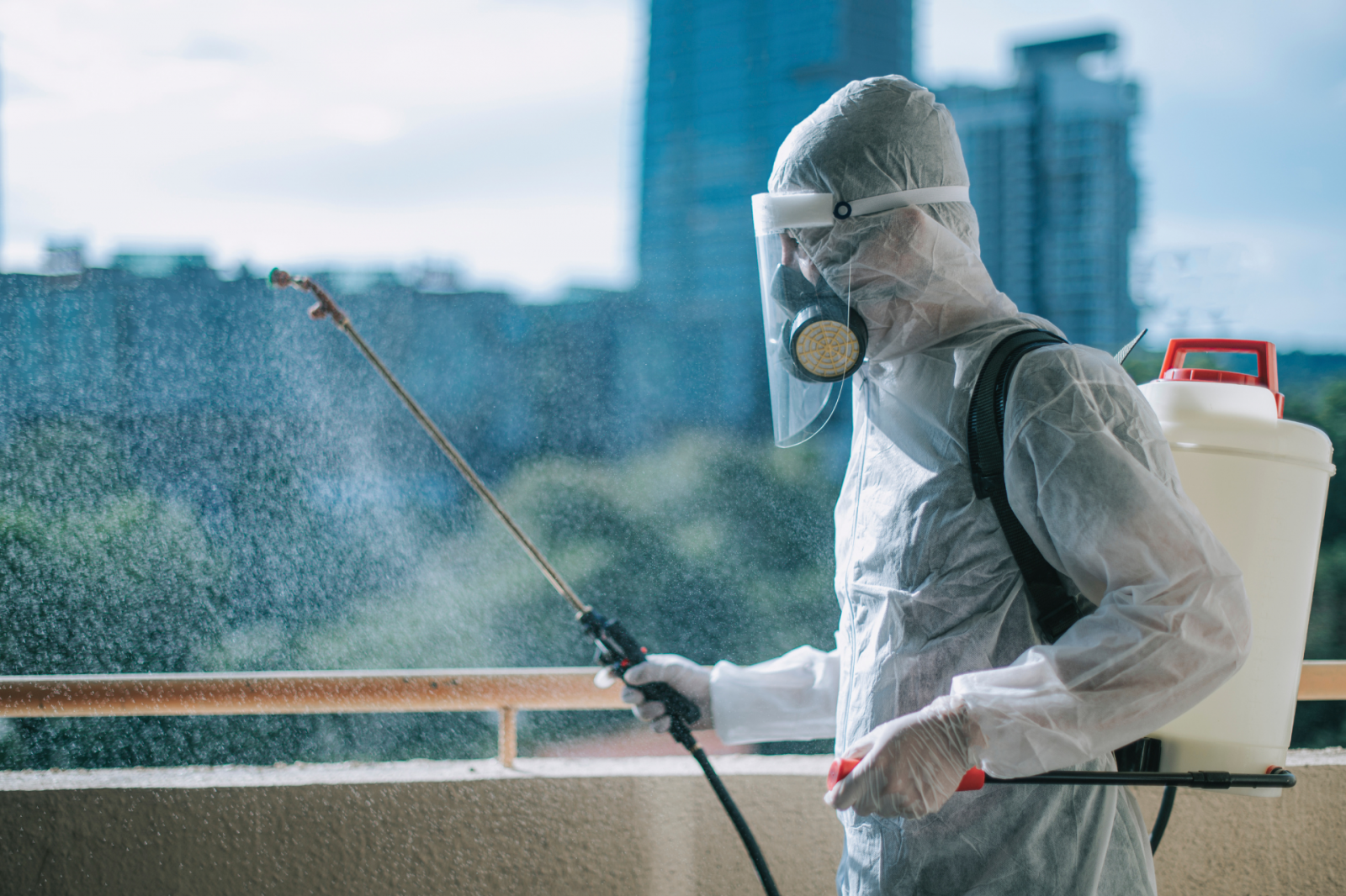 Como preparar sua casa ou empresa antes da dedetização: guia prático Como preparar sua casa ou empresa antes da dedetização: guia prático