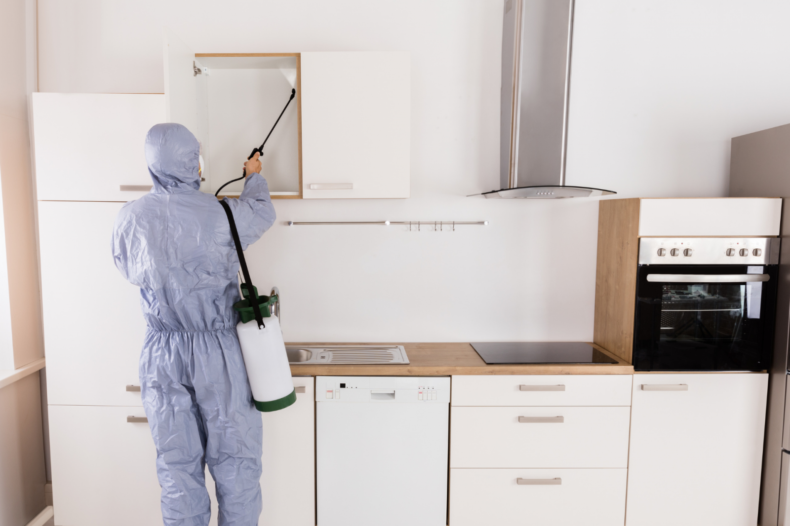 Como manter ambientes protegidos? Guia prático de dedetização em Moema SP