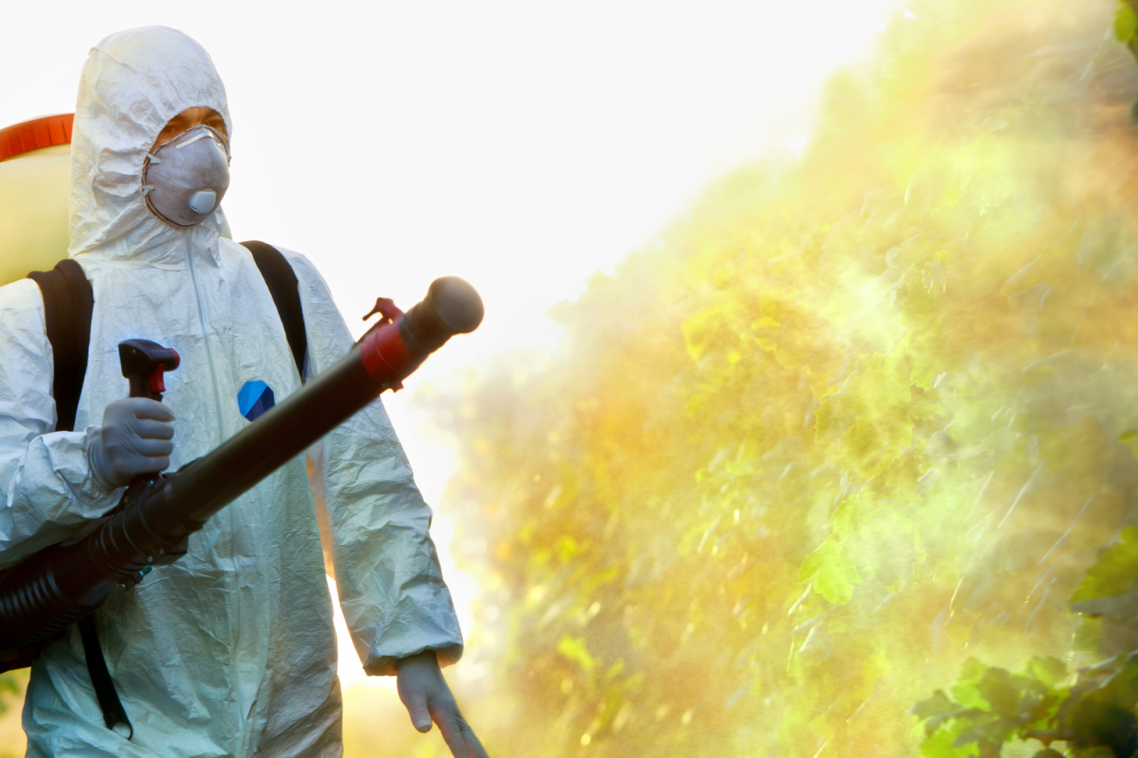 Como manter ambientes protegidos? Guia prático de dedetização em Moema SP