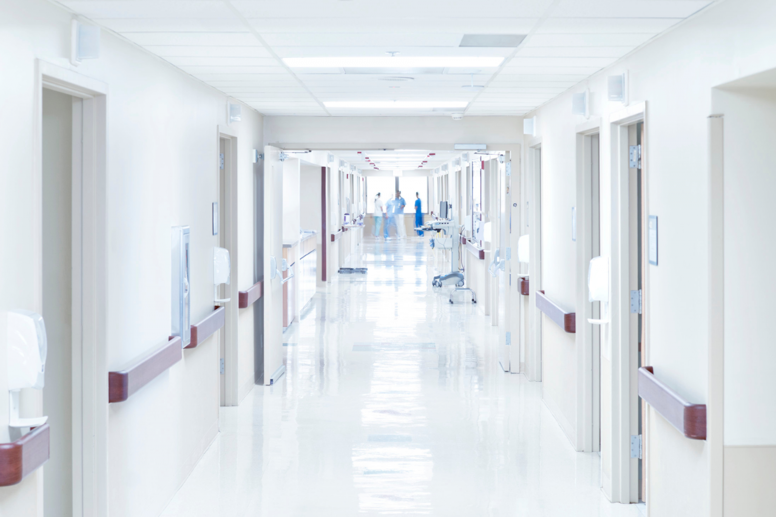 Guia de controle de pragas para hospitais e clínicas em São Paulo | Primos Dedetizadora