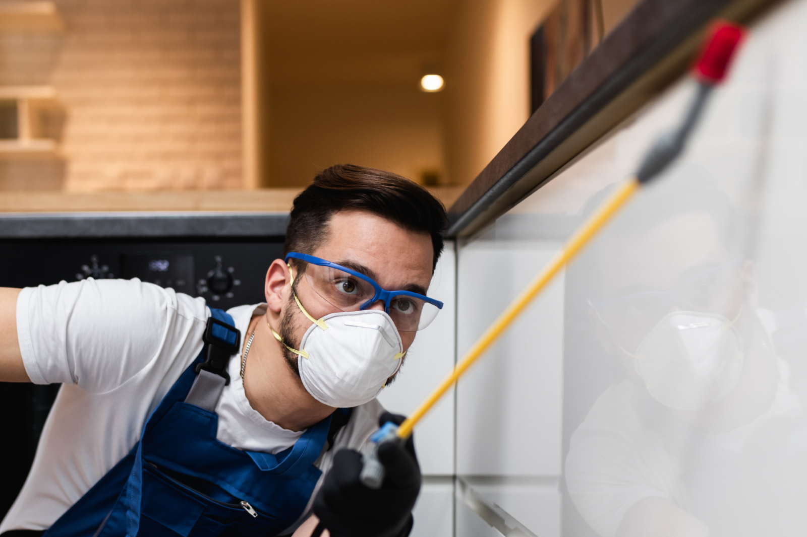 Dedetização preventiva no Brás SP: como evitar infestações em empresas