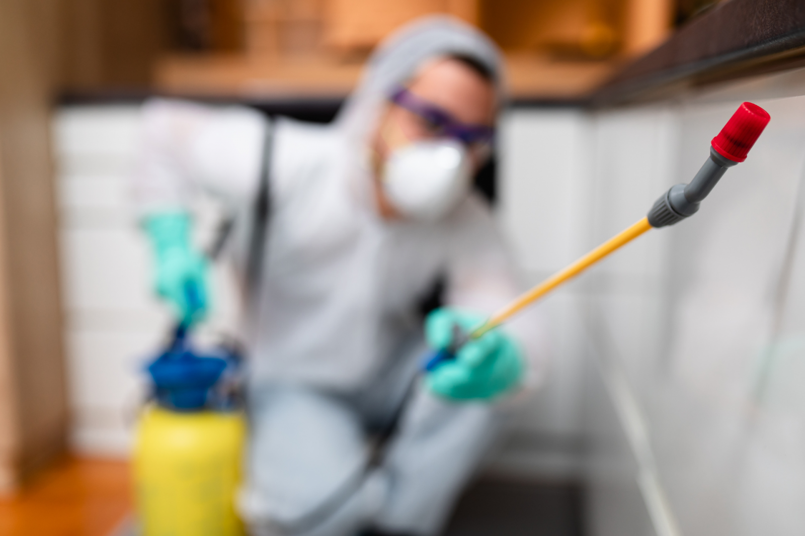 Dedetização preventiva no Brás SP: como evitar infestações em empresas