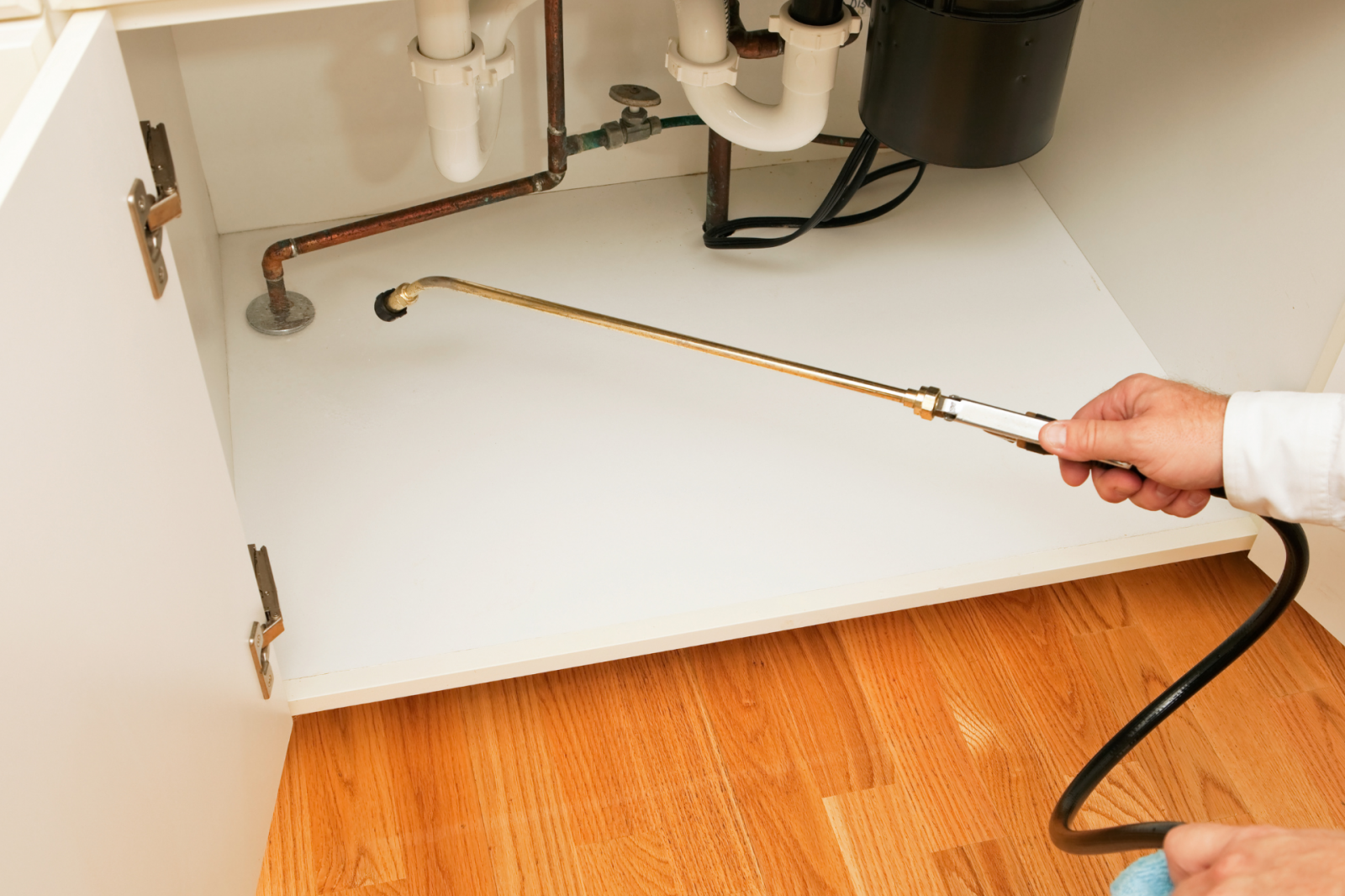 Dedetização no Tamanduateí SP para condomínios: como funciona? Dedetização no Tamanduateí SP para condomínios: como funciona?