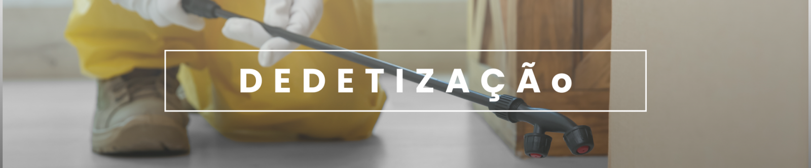 Dedetização